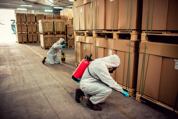 Best Flea Control Services  in Manning, IA