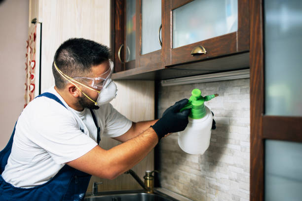 Best Pest Inspection Near Me  in Manning, IA