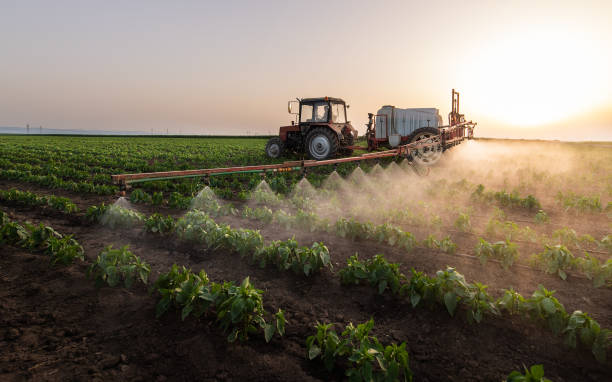 Best Pest Prevention Services  in Manning, IA