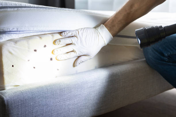 Best Best Pest Control Companies  in Manning, IA