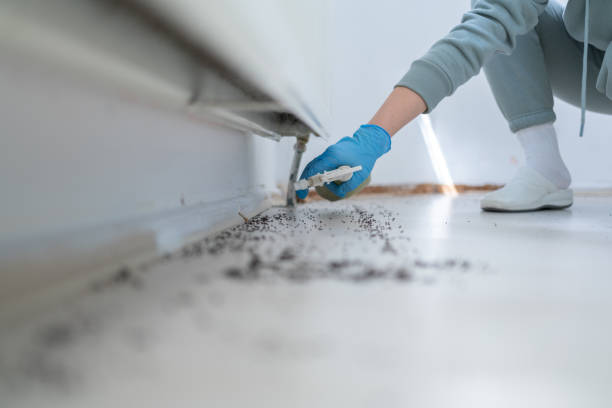 Best Residential Pest Control  in Manning, IA