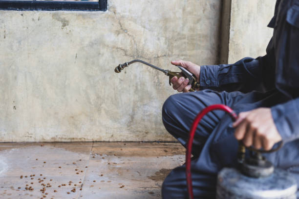 Pest Prevention Services in Manning, IA