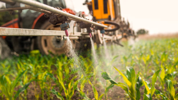 Best Affordable Pest Control Services  in Manning, IA
